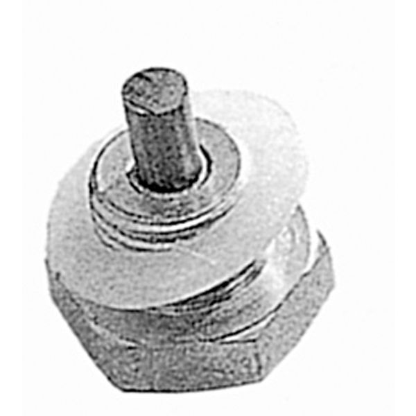 Oil Pan Drain plug 1/2 inch20 MOONEYES (English Edition)