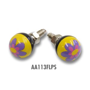 Photo3: More License Plate Bolts...