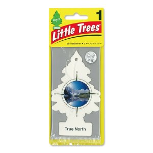Photo1: Little Tree Paper Air Freshener True North