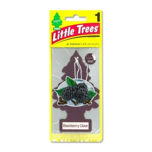 Photo1: Little Tree Air Freshener Black Berry