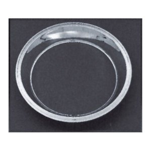 Photo1: 10inch Chrysler Trim Ring 15inch