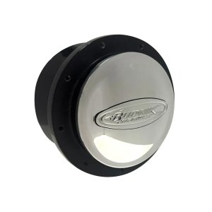 Photo1: Budnik Horn Button