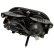 Photo3: HONDA DAX 125 Dual Headlight (3)