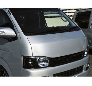 Photo1: E-Style Hood Panel