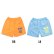 Photo1: MOON Palm Tree Nylon Short Pants (1)