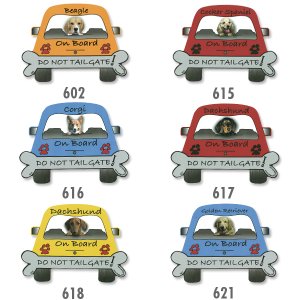 Photo1: Magnetic Pedigrees (IGMPT-1)