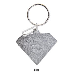 Photo3: Superman Enamel Key Ring