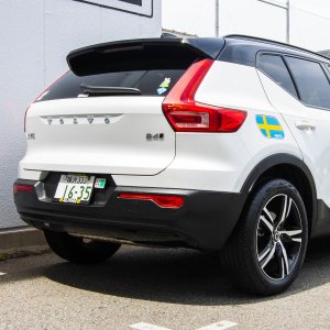 Photo4: GOLD RUSH Tire & Trim Conditioner