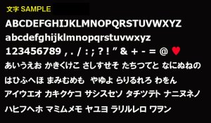 Photo3: Custom License Frame US Size Black