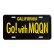 Photo2: MOONEYES California Steel License Plates Go! with MQQN (2)