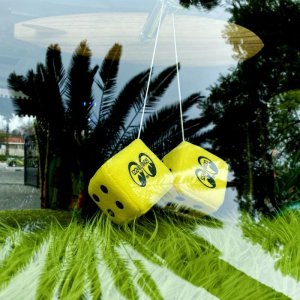 Photo7: MOON Fuzzy Dice