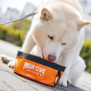 Photo1: MOON Dog Pet Bowl