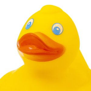 Photo6: MOON Rubber Duck