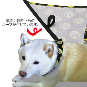 Photo4: MOON Eyeball Doggy Bib