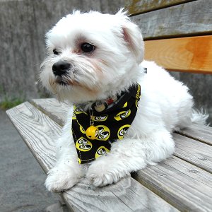 Photo5: MOON Eyeball Doggy Bib