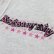 Photo6: Sprightly Fairy Embroidery Zip Hoodie (6)