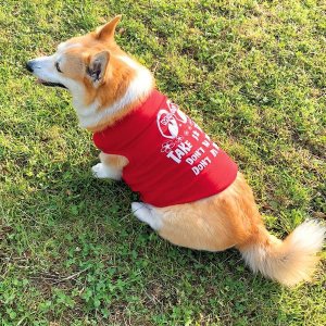 Photo2: Take it Easy Doggie T-shirt