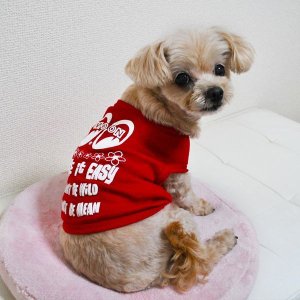 Photo7: Take it Easy Doggie T-shirt