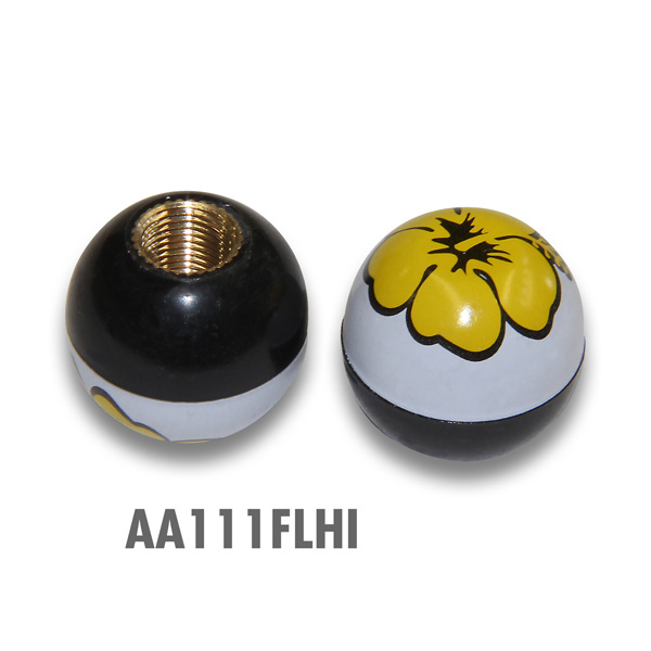 Air Valve MOONEYES (English Edition)