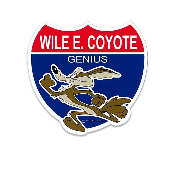 Wile E Coyote Lessons Cartoon Car Bumper Sticker Decal 5'' x 5''