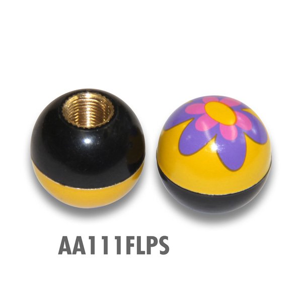 Photo4: Air Valve (4)