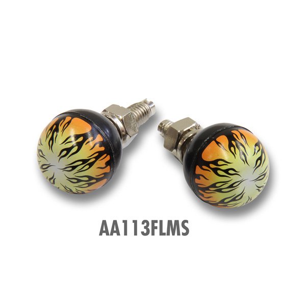 Photo4: More License Plate Bolts... (4)