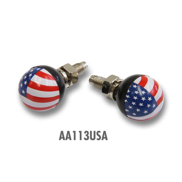 Photo5: More License Plate Bolts... (5)