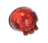 Photo: Skull Tail Lamp Assembly  (bike type)