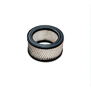 Photo: Replacement Air Filter Element