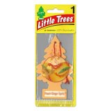 Photo: Little Tree Paper Air Freshener Peach Ginger Spritz