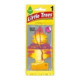 Photo: Little Tree Paper Air Freshener Sunset Beach