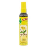 Photo: Little Trees Spray Vanillaroma