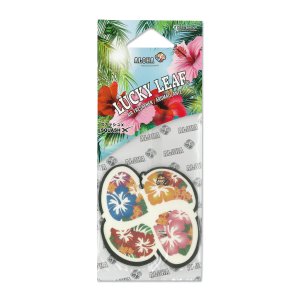 Photo: Hibiscus Air Freshener -Squash X-