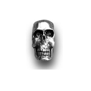 Photo: Air Cleaner Nuts: Chrome Skull