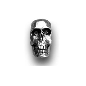 Photo: Air Cleaner Nuts: Chrome Skull