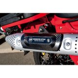 Photo: Muffler Protector Carbon
