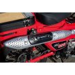 Photo2: Muffler Protector Carbon (2)