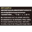 Photo5: 【50cc〜125cc】 Original Custom Licence Frame Plate for Small Motorcycle Black (5)