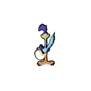 Photo: Road Runner with Helmet Decal