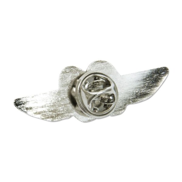 Photo5: Hat Pin Fly with MOON (5)