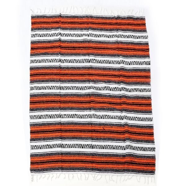 Photo2: Mexican Blanket (2)