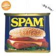 Photo2: Big Spam Can Air Freshener (2)