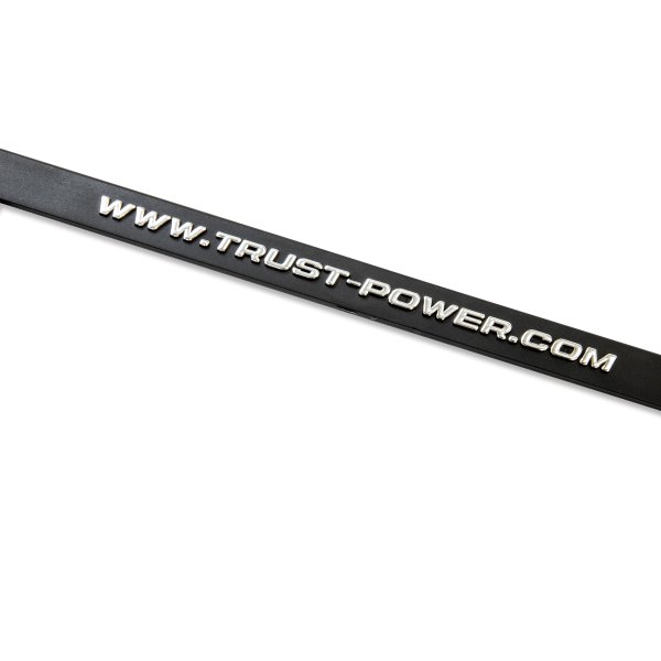 Photo3: Raised TRUST GReddy Logo License Plate Frame (Chrome) JPN size (3)