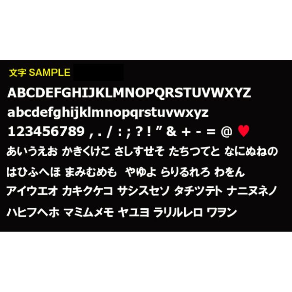 Photo3: Custom License Frame US Size Black (3)