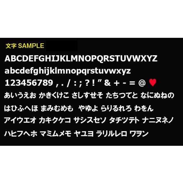 Photo3: Custom License Frame US Size Black (3)