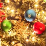 Photo: MOON Christmas Ornament
