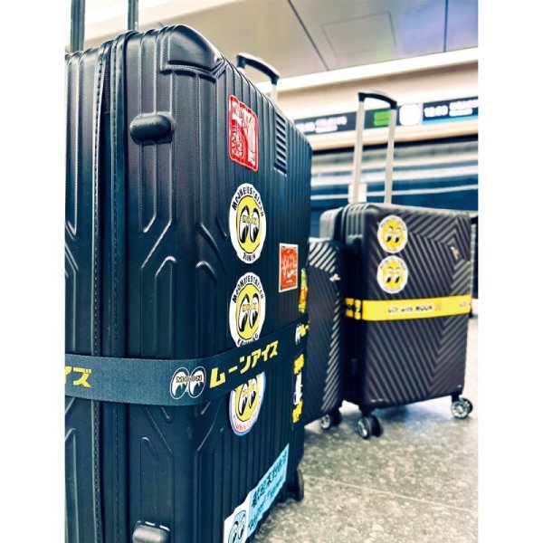 Photo4: Go! with MOON Travel Luggage Belt (4)