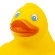 Photo6: MOON Rubber Duck (6)
