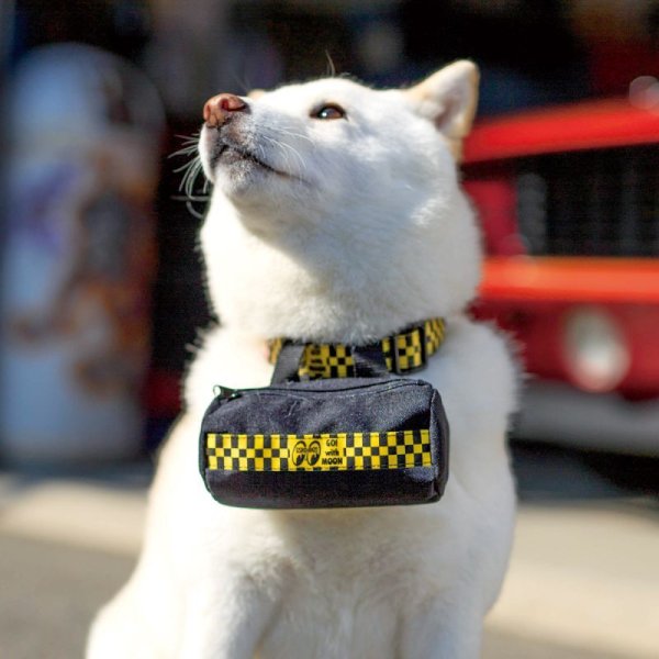Photo1: MOON Checker Doggy Pouch (1)