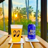 Photo: MOON Equipped Frost Party Cup set of 6